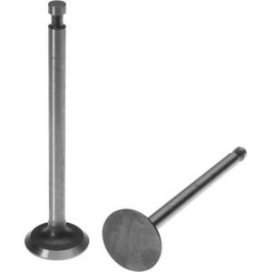 VALVULA EXCAPE 4CC L-HEAD