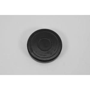 Expansion Plug