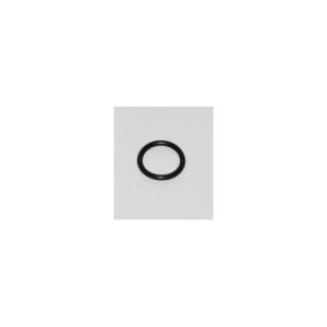 IGNITION O-RING