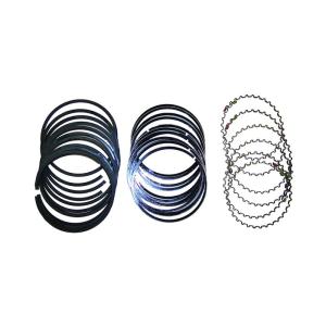 RING SET (FOR 6 PISTONS); STAN