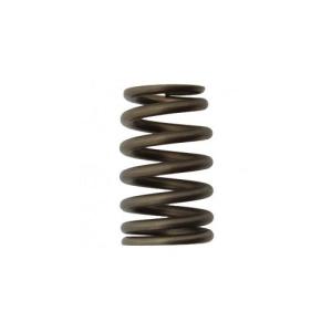 Intake Valve Spring