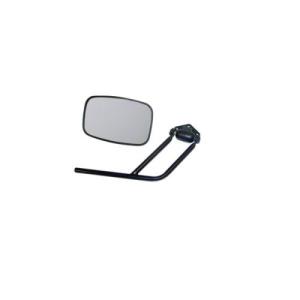 Mirror and Arm Kit (Right)