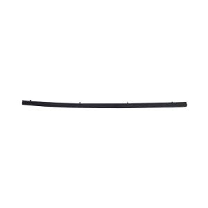 GLASS WEATHERSTRIP CJ