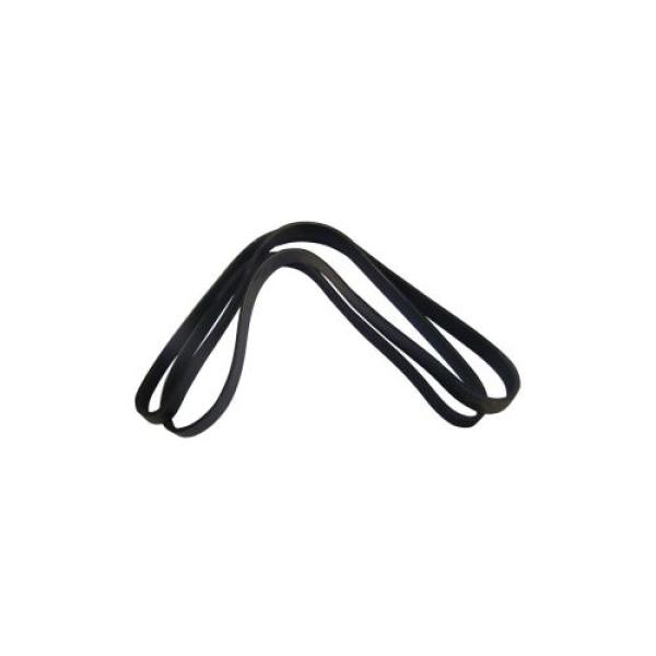 Serpentine Belt