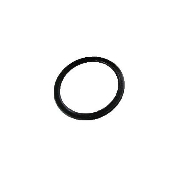 O RING DE PINON SPEEDO