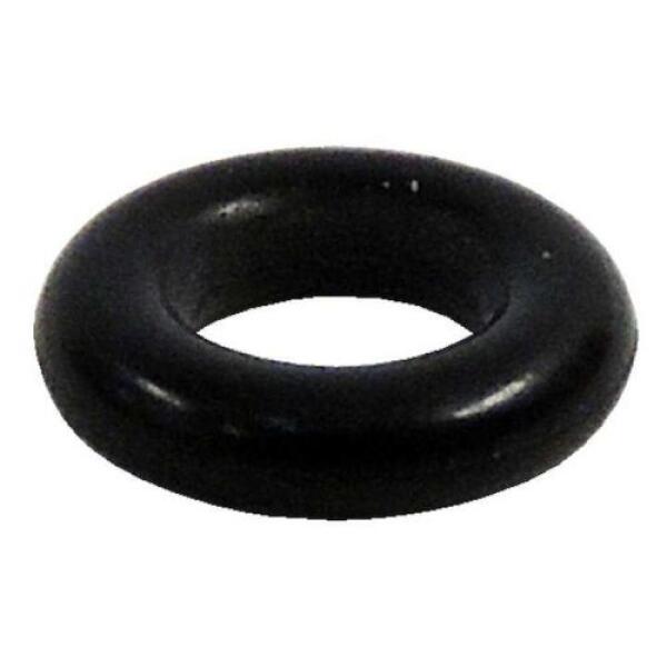 Fuel Injector O Ring