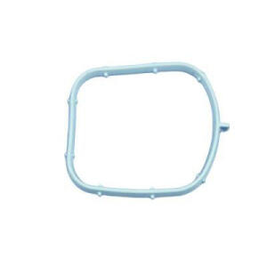 intake manifold seal