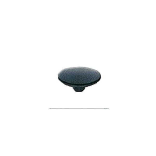 Standard Cap
