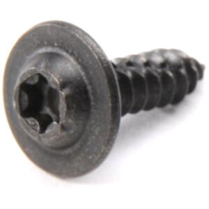 bumper applique torx screw