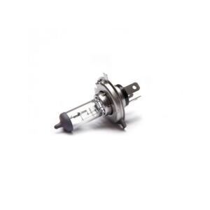 LIGHT BULB HB2 / H4 HALOGEN 55/60W