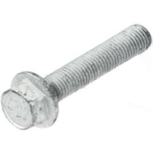 hex flange head bolt