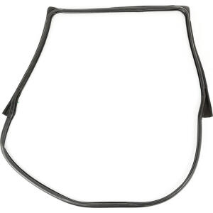 rear driver side full door seal