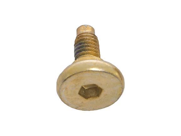 front brake caliper support screw