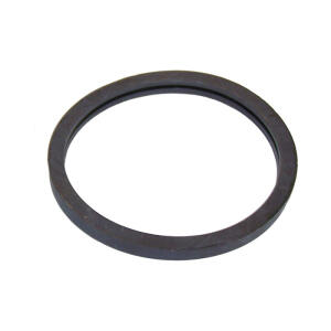 thermostat housing gasket