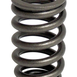 Valve Spring