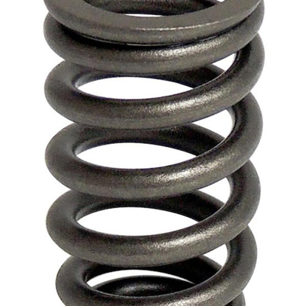 Valve Spring