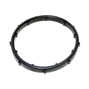 Thermostat Seal