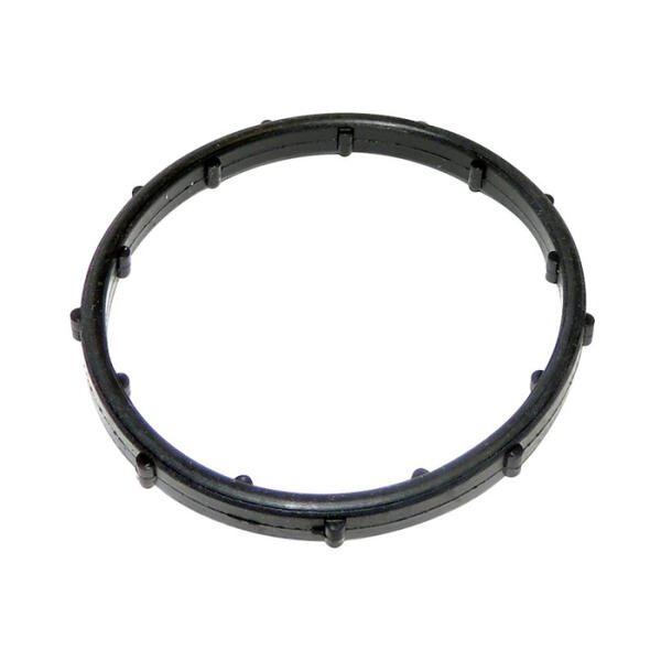 Thermostat Seal