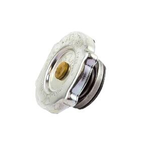Radiator Cap