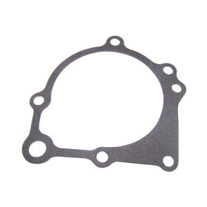 water pump gasket
