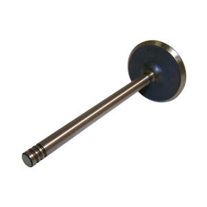 intake valve