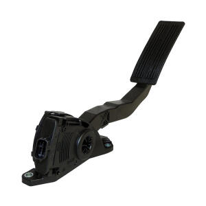 Accelerator Pedal Assembly
