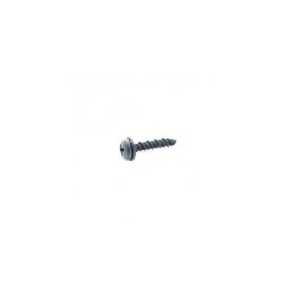 Pan Head Screw & Washer 164-18x.55