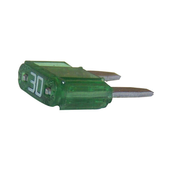 30-Amp Mini Fuse for Jeep Vehicles