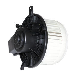Blower Motor