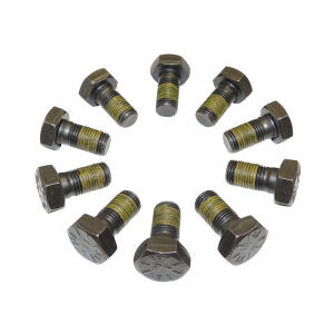 Ring Gear Bolt Kit
