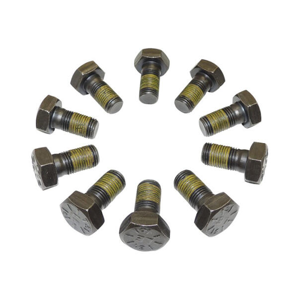 Ring Gear Bolt Kit