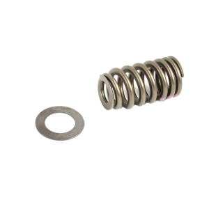 valve spring