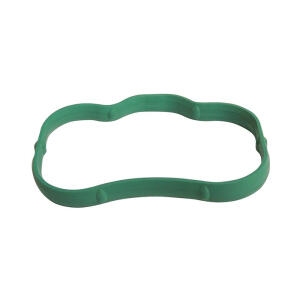 Intake Manifold Seal