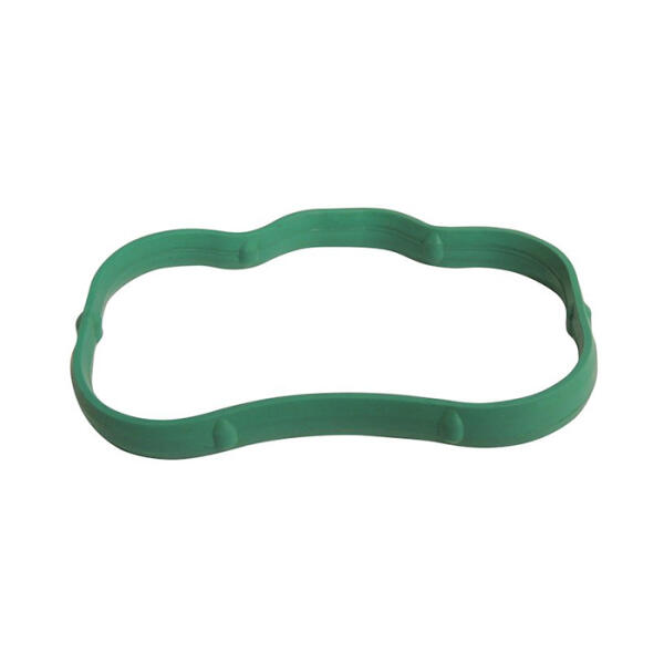 Intake Manifold Seal