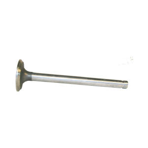exhaust valve