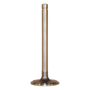 intake valve