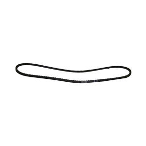 accessory drive belt