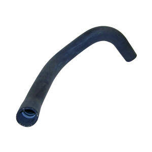 lower radiator hose