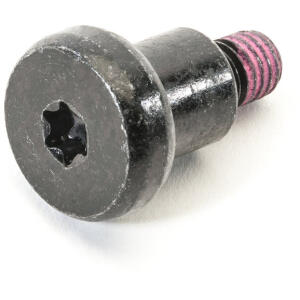 hardtop freedom panel lever screw